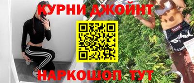 сатива Кандалакша