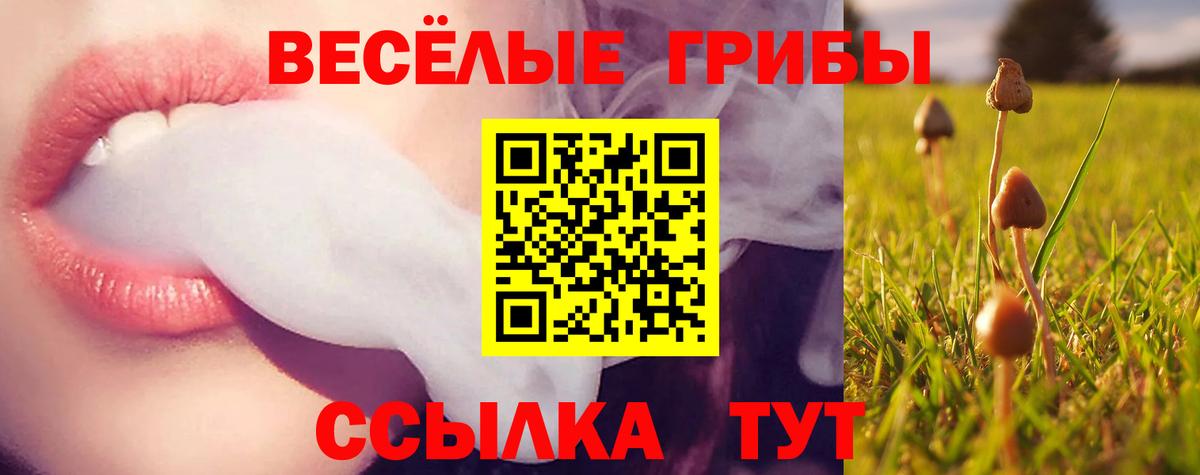 Псилоцибиновые грибы мухоморы  Галлюциногенные грибы мицелий  Вход с VPN  купить закладку  Балашов 