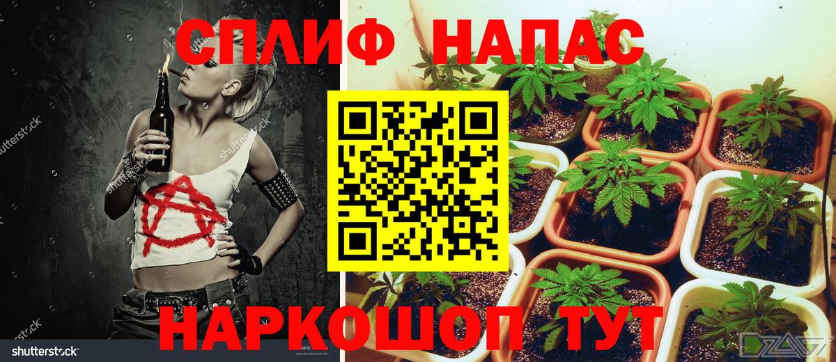 Балашов  Бошки марихуана VHQ  Марихуана гибрид  Вход с VPN 